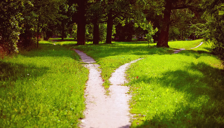 InterActive Legal Academy